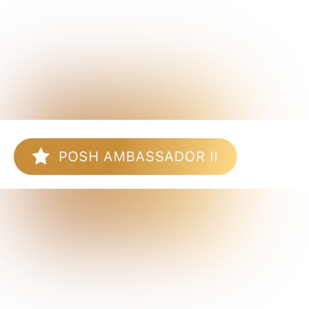 Ambassador II - Picture 2 of 2